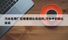 污水处理厂在哪里硝化反应的,污水中的硝化反应