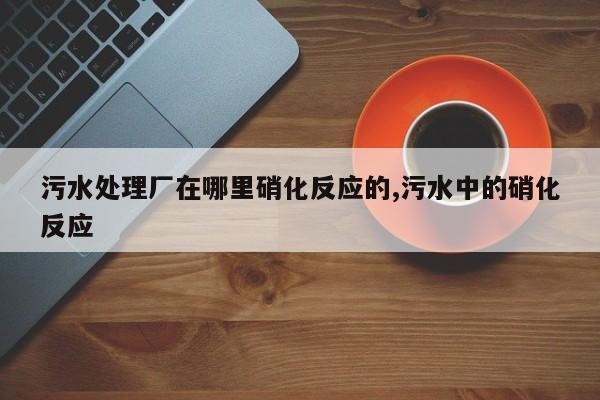污水处理厂在哪里硝化反应的,污水中的硝化反应