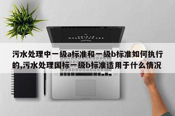 污水处理中一级a标准和一级b标准如何执行的,污水处理国标一级b标准适用于什么情况