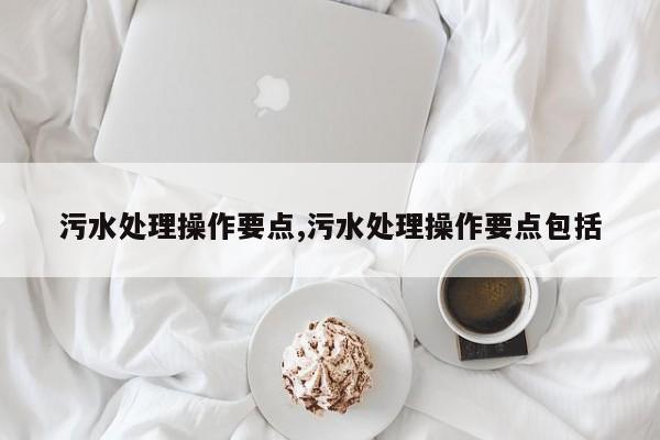 污水处理操作要点,污水处理操作要点包括
