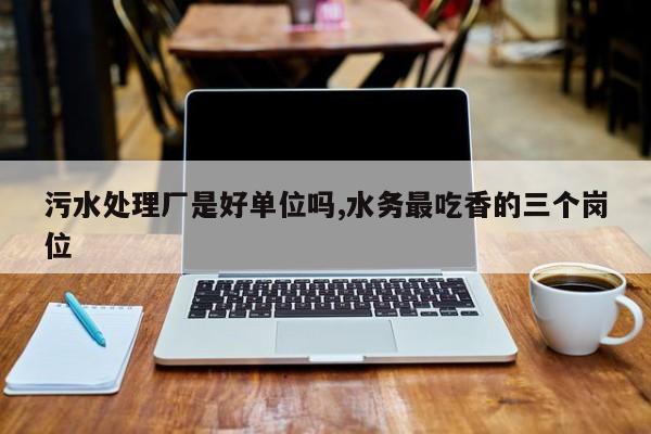 污水处理厂是好单位吗,水务最吃香的三个岗位